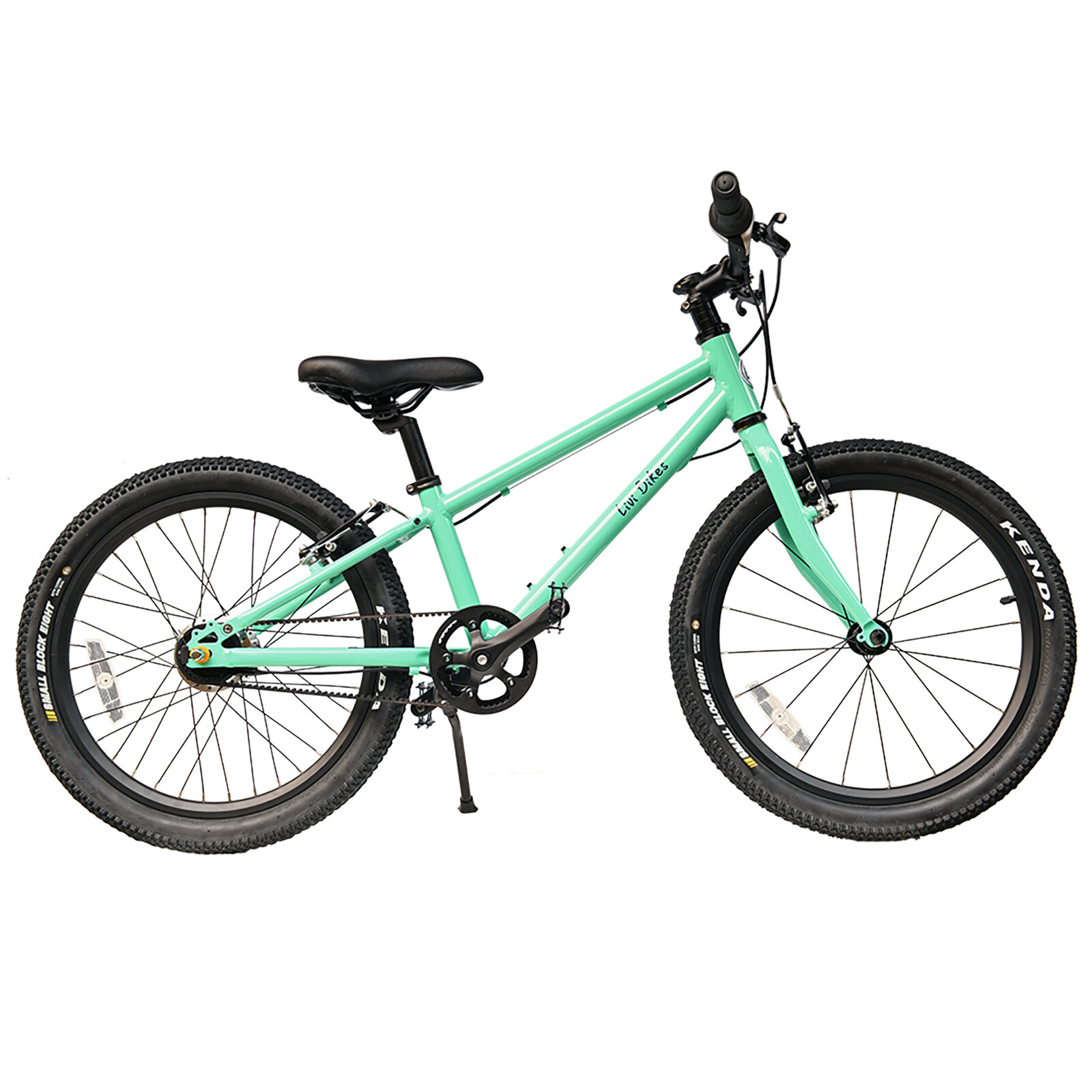20-Zoll-Minze-R
